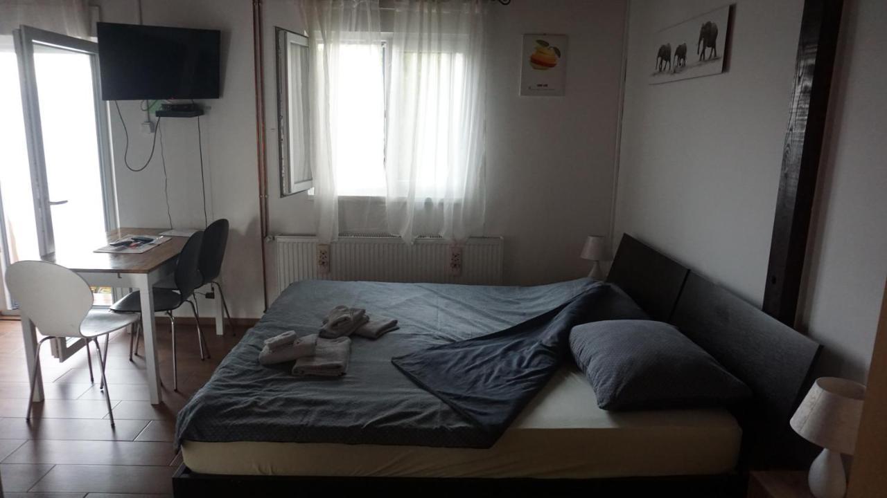 Studio apartman DJED Hrvatska Kostajnica Exterior foto